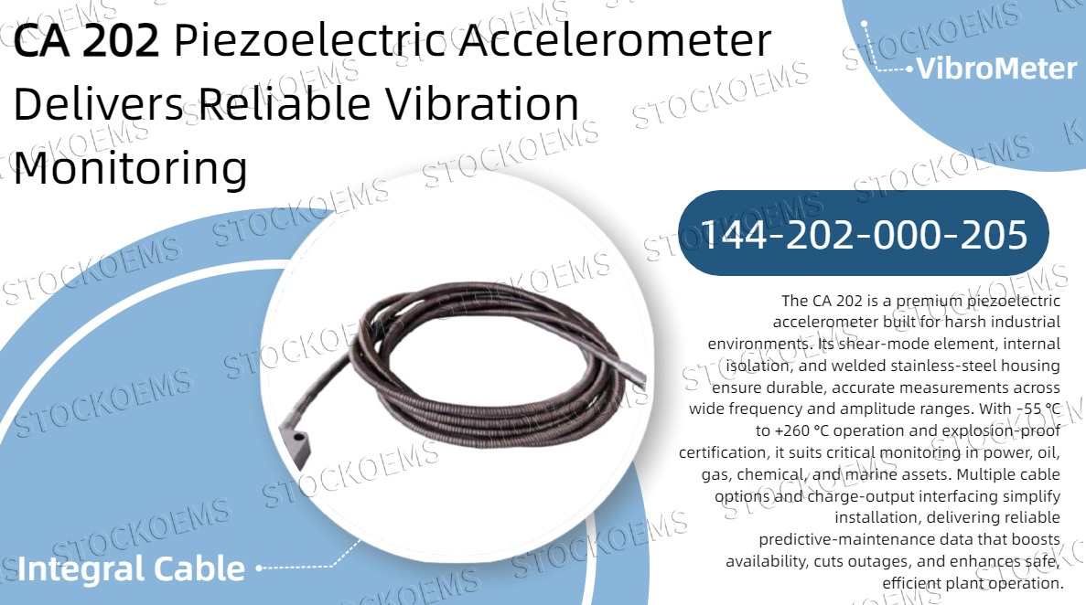 The CA 202 Piezoelectric Accelerometer Delivers Reliable Vibration Monitoring in Extreme Industrial Environments
